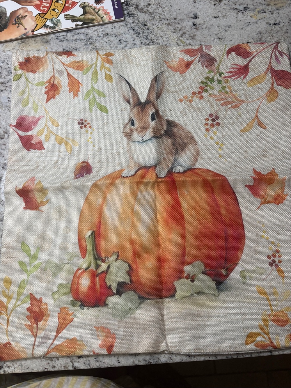 Autumn Bunny on Pumpkin Decorative Pillow